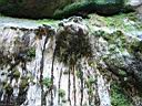 024_zion.jpg